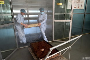 八旬老人制茶68年 最多一天品茶2000杯 老年养护服务如何跟上'匠心'需求